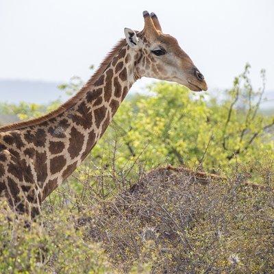 7 Day Taste of Namibia Lodging Safari