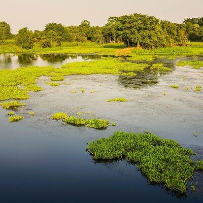 Day Trip to Majuli (Guided Private Tour from Guwahati)