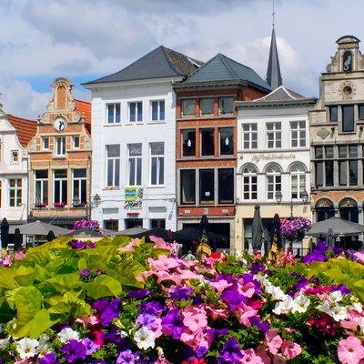 Small-Group Mechelen City Guided Walking Tour