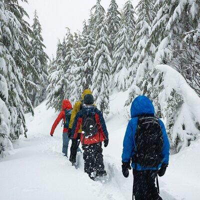 Private Snowshoeing Adventure from Badger Pass to Dewey Point