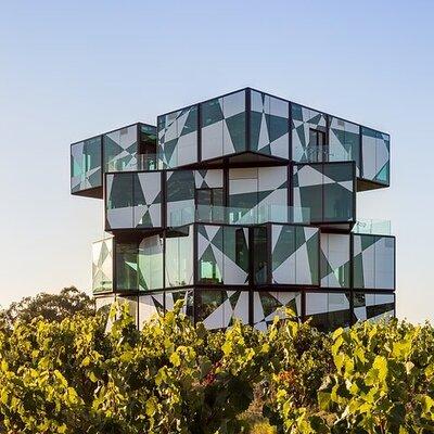 Small Group McLaren Vale and The Cube Experience