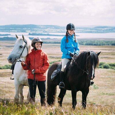 Beach & countryside horse riding outside Westport. Guided. 1 hour