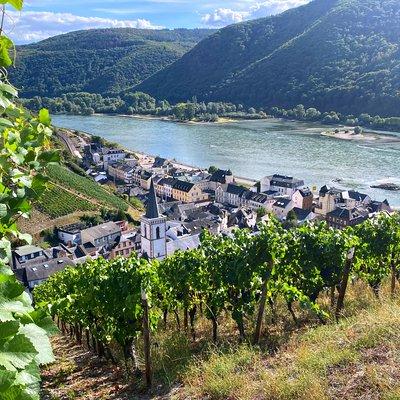 Rhine Valley Wine Tasting Tour from Frankfurt and Mainz