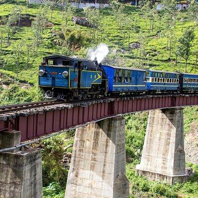 Coimbatore to Ooty- transfers+Hotel+Sightseeing