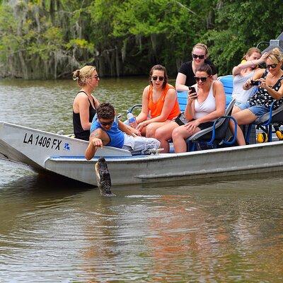 Small-Group Airboat Swamp Tour with Downtown New Orleans Pickup