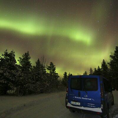 Guided Northern Lights Tour at Kiruna