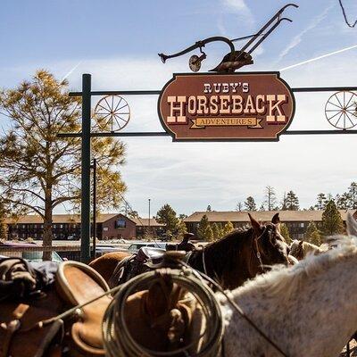  Ruby's Horseback Adventures Utah 1.5 Hour Ride