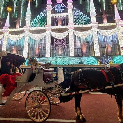 New York City Christmas Lights Private Horse Carriage Ride