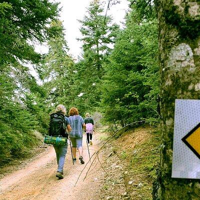 HIKE & BIKE PELION 3-Day Private Guided Tour
