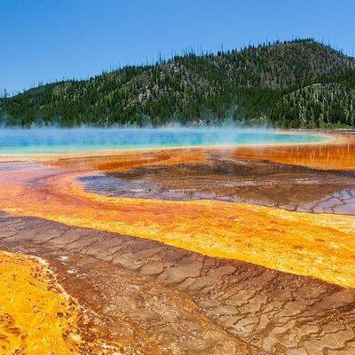 Best of Yellowstone Guided Tour from Bozeman - Private Tour