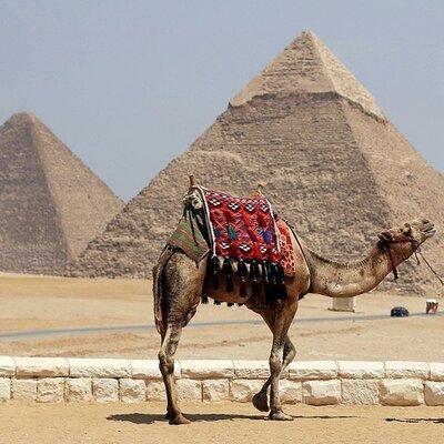 Private Day from Sharm to Cairo by plane, all entrance fees, Camel, Lunch, Guide