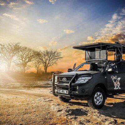 Kruger National Park Private Guided Tour