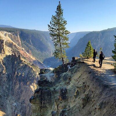 Grand Canyon of the Yellowstone Rim and Loop Hike with Lunch