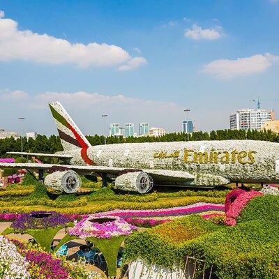 Dubai: Skip-The-Line Ticket to Dubai Miracle Garden