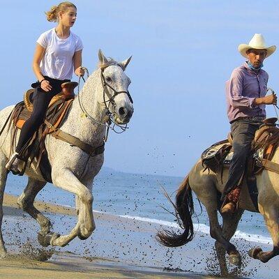 Horseback Riding in Sayulita Through Jungle Trails to the Beach