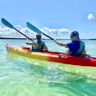 Small Group Kayak Tour of the Shell Key Preserve