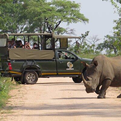 Kruger National Park sunrise Morning Private safari