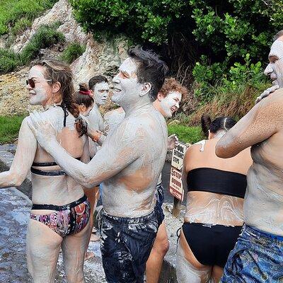 Sulphur Springs Mud Bath and Toraille Waterfall Tour with Creole Lunch