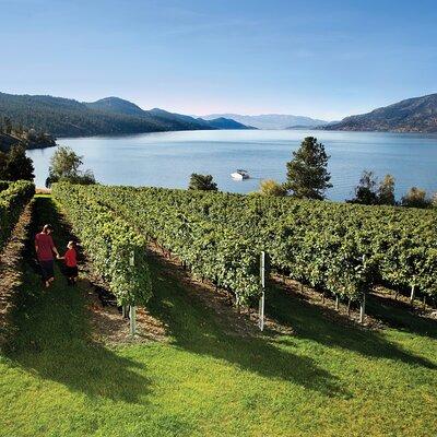 Kelowna Fab 5 & 5 Winery South Slopes Wine Tour 