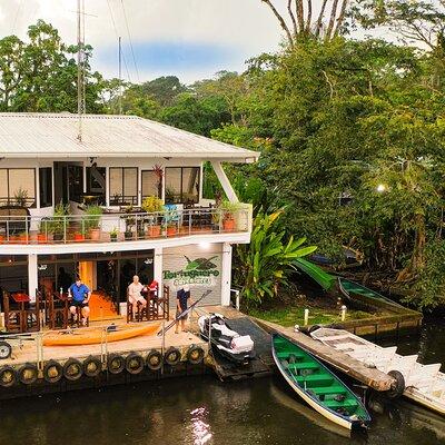 Total Tortuguero Canoe or Kayak+hike+NW(Tortugas from Jul-Oct)