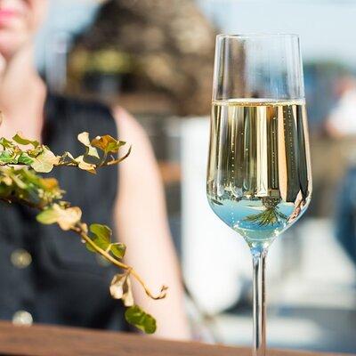 Full Day Wine Tour in Sussex and Kent