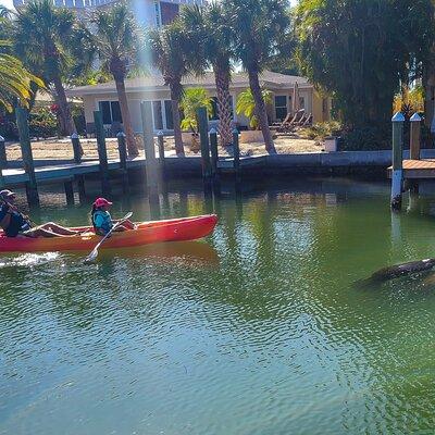 Siesta Key Kayak Tour 