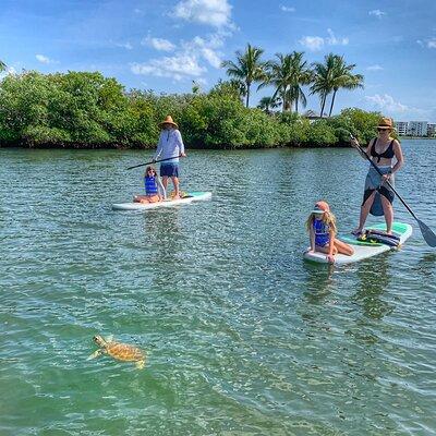 Paddle Boarding Eco Adventure Tour Jupiter Florida - Singer Island