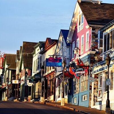 3 Hour Private Tour: Explore all the top spots of Acadia!