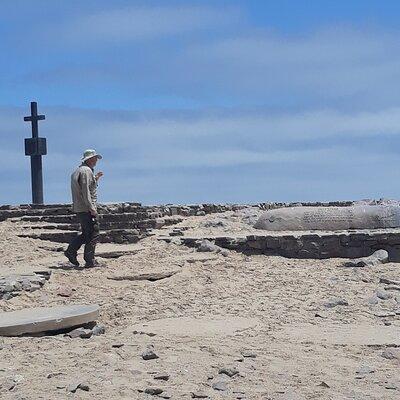 Skeleton Coast Cape Cross Seal colony Tour