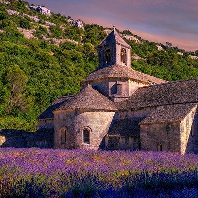 Lavender Route - Small-Group Day Trip from Avignon