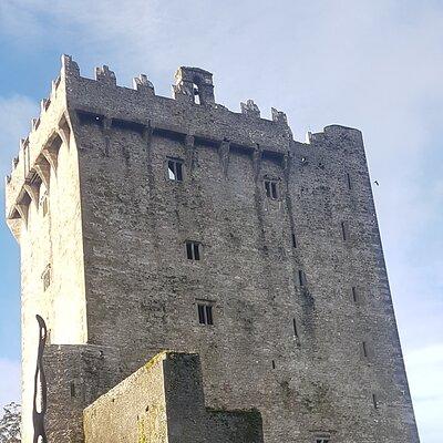 Shore Excursion to Blarney Castle, Cork City and Kinsale
