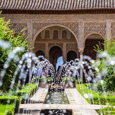 Alhambra with Nazaries Palaces Private Tour 