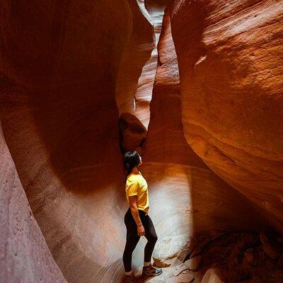 East Zion Crimson Canyon Hike & UTV Adventure