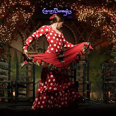 Flamenco Show & Special Menu at Torres Bermejas in Madrid