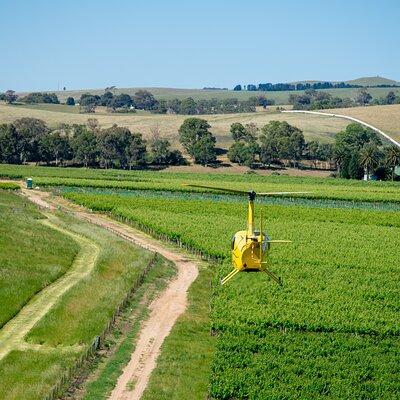 Southern Barossa: 10-Minute Helicopter Flight