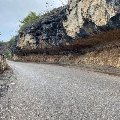 Tour in North and South Bonaire Guided 