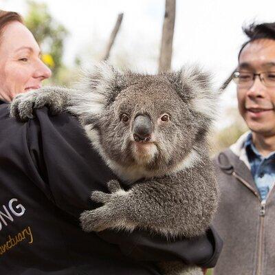 Bonorong Wildlife Park and Richmond Afternoon Tour from Hobart