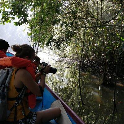 Tour to the Canals in Tortuguero National Park