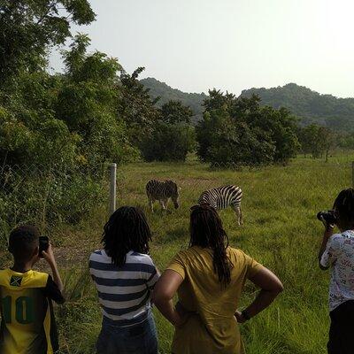 Half-day Accra Safari Tour