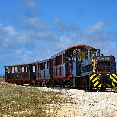 St. Nicholas Abbey & Heritage Railway