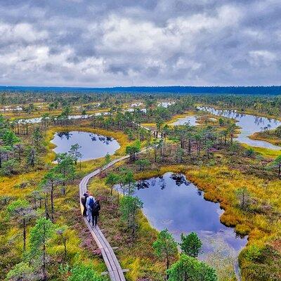 From Riga: Best of Kemeri National Park In One Day