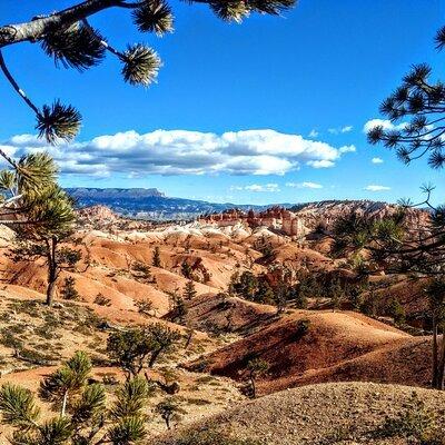 Scenic Tour of Bryce Canyon