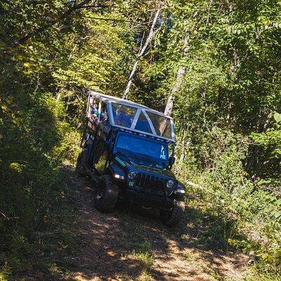 Smoky Mountains Newfound Gap Jeep Tour