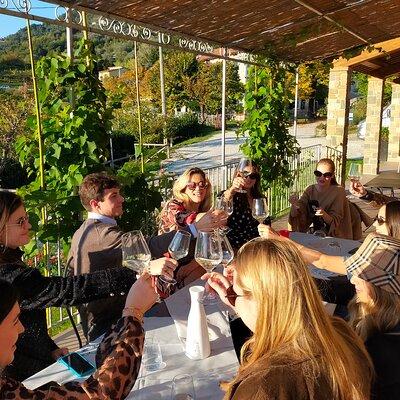 Private wine tour with sommelier - Colline Lucchesi and Montecarlo