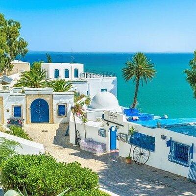 Private Day Tour: Medina of Tunis, Carthage, Sidi Bousaid with lunch