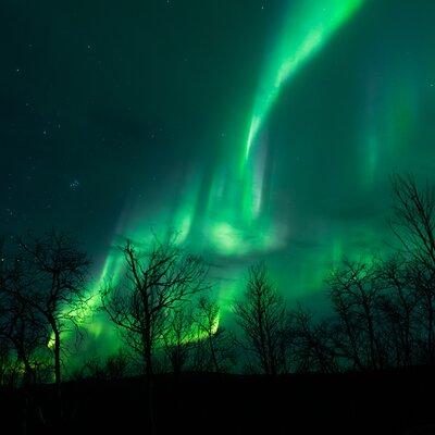 Northern Lights Tour from Kiruna to Abisko with Dinner