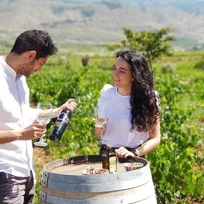 Almería Wine tour and tasting in English in Bio Winery