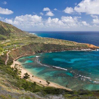 Tour of North Shore & Waimea Waterfall 