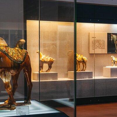 Luoyang Museum and Luoyang City Private Day Tour