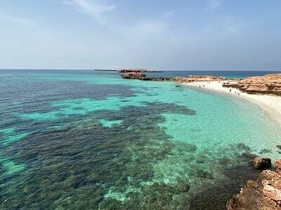 Snorkeling at Dimaniyat Islands and Dolphin Watching